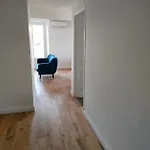 3 Rooms, 2 Bathrooms, In A Villa. Lightfull, Quiet And Charm * كان